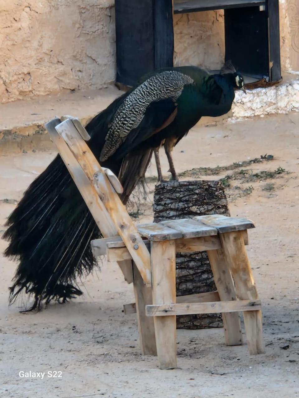 Maison D'Hote Dar Massouada Toujane Bagian luar foto