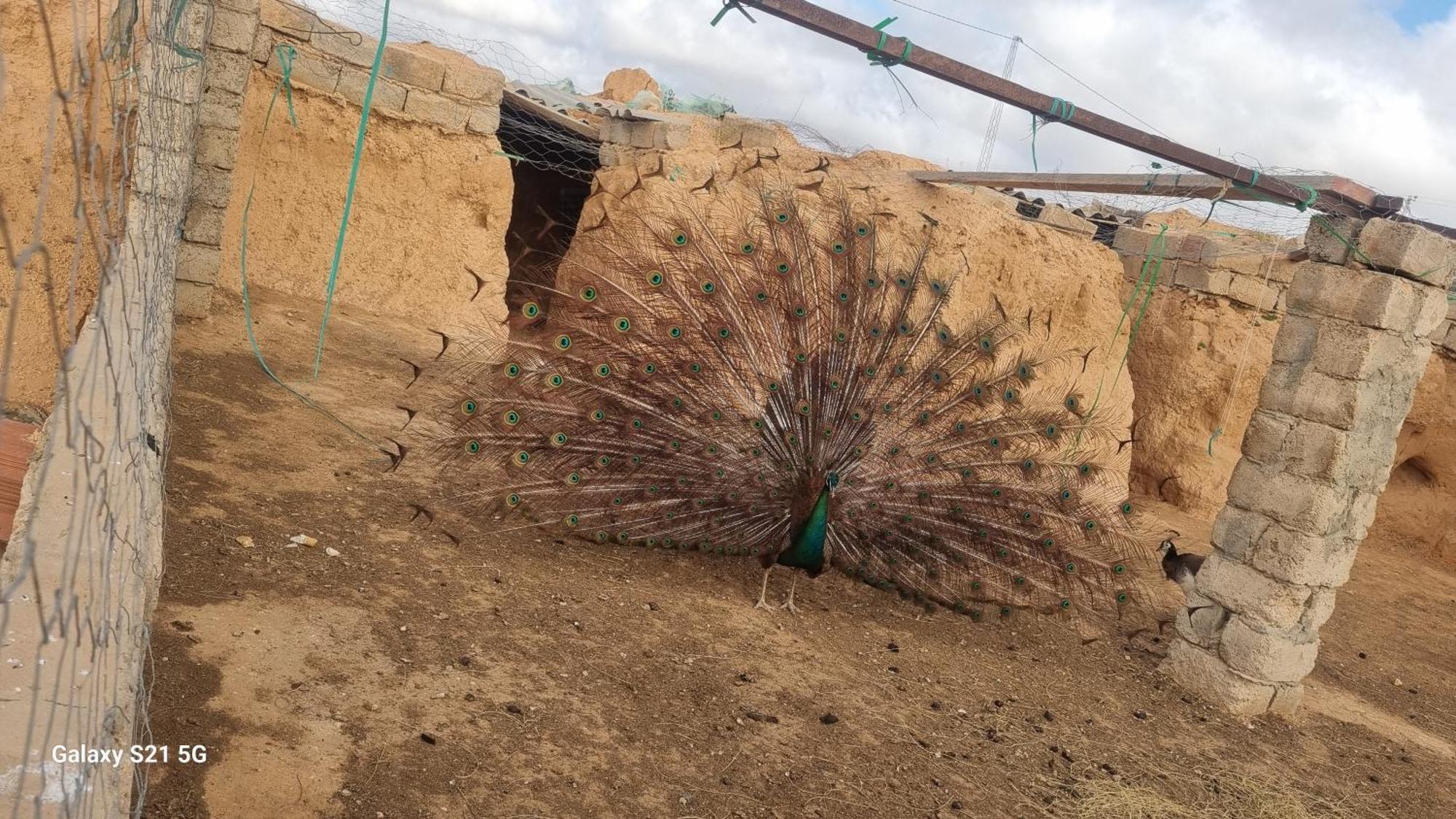 Maison D'Hote Dar Massouada Toujane Bagian luar foto